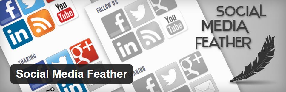 Social Media Feather