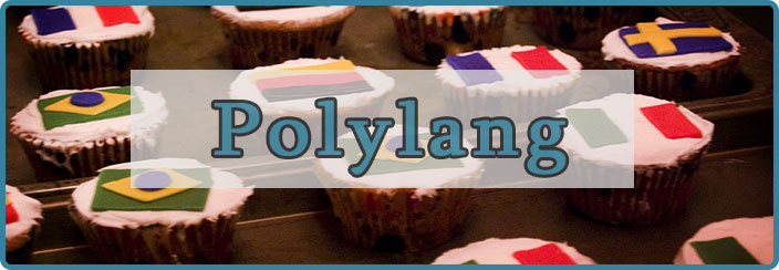 WordPress Multilingua-Polylang