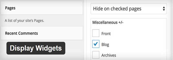 Migliori-Widget-WordPress-Display-Widget