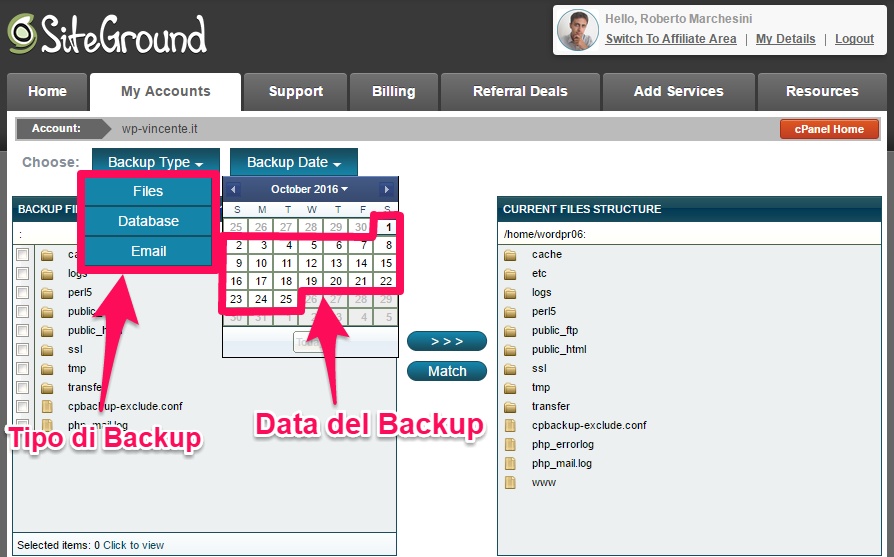 Backup WordPress con hosting