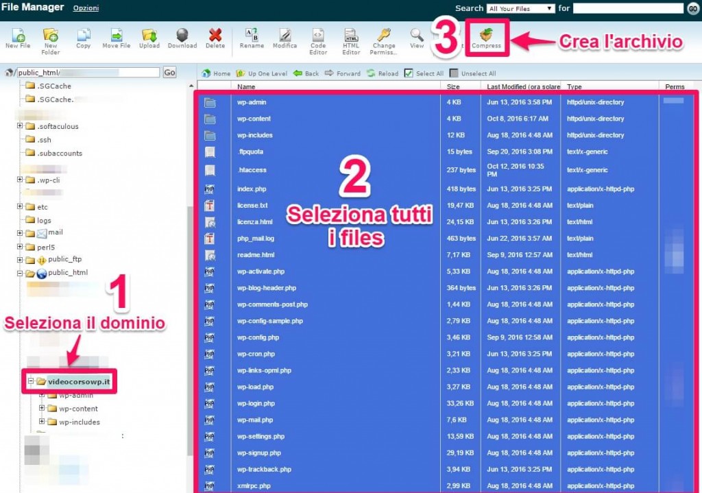 Backup WordPress-manuale